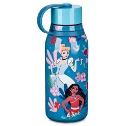 Disney Princess Stainless Steel Water Bottle -Happy Toyland Shop 3311046540081 2