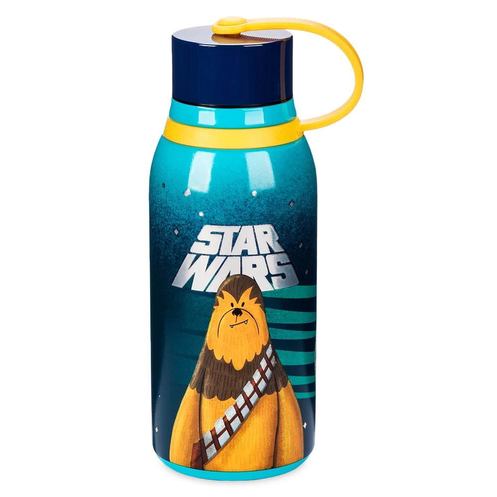 Disney Star Wars Stainless Steel Water Bottle 3 Disney Star Wars Stainless Steel Water Bottle