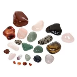 Disney Hobby Rock Tumbler – National Geographic -Happy Toyland Shop 6103105633212 3